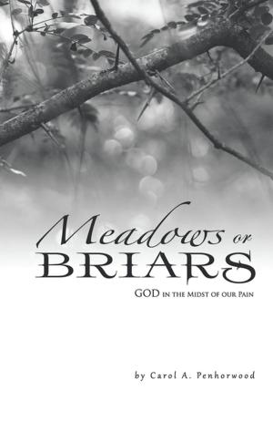 Cover of the book Meadows or Briars by Darlene Hardin