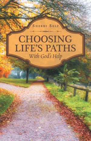 Cover of the book Choosing Life’S Paths by Bill B. Flint Jr.