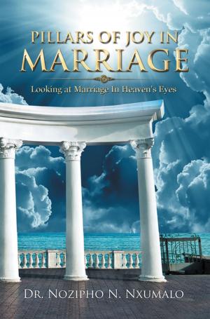 Book cover of Pillars of Joy in Marriage