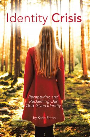 Cover of the book Identity Crisis by Mary R. Rodgers
