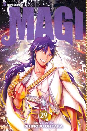 Cover of the book Magi: The Labyrinth of Magic, Vol. 29 by Masashi Kishimoto
