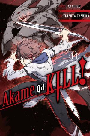 Book cover of Akame ga KILL!, Vol. 14