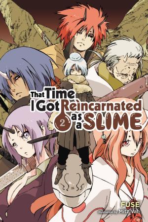 Cover of the book That Time I Got Reincarnated as a Slime, Vol. 2 (light novel) by Kudan Naduka, Makoto Sanada