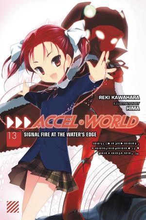 Book cover of Accel World, Vol. 13 (light novel)