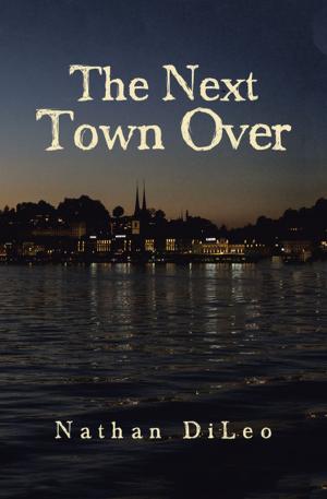 Cover of the book The Next Town Over by Tina Marie Lees