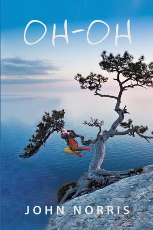 Cover of the book Oh-Oh by Dawn R. King