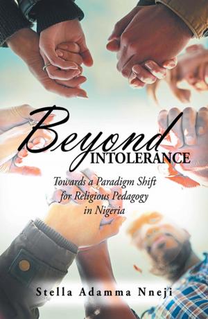 Cover of the book Beyond Intolerance by Neasa Lutrea Goodman