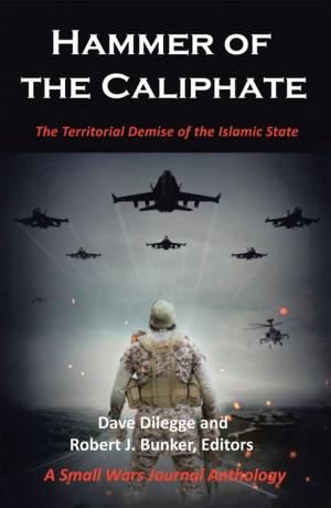Cover of the book Hammer of the Caliphate by Michael M. Stockdell