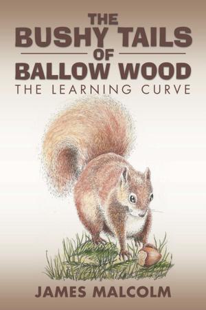 Cover of the book The Bushy Tails of Ballow Wood by Keith H. Seymour