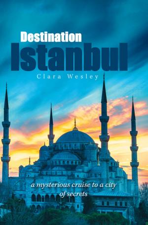 Cover of the book Destination Istanbul by Linnea Larsson