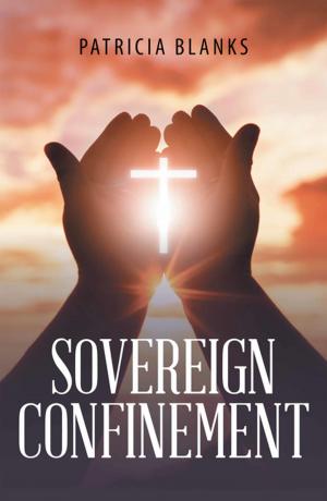 Cover of the book Sovereign Confinement by Wally Madding