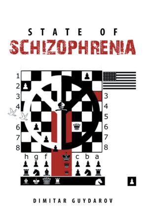 Cover of the book State of Schizophrenia by Laqaixit Tewee