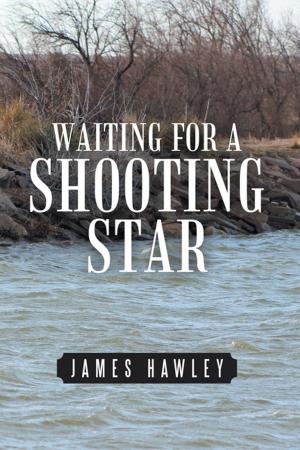 Cover of the book Waiting for a Shooting Star by Jed N. Snyder CNC D. Min Ph.D.