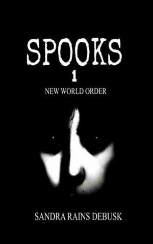 Cover of the book Spooks 1 by Victoria Wundram