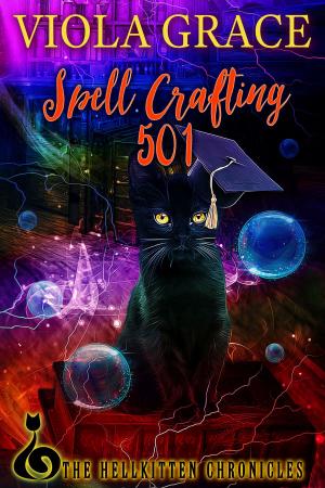 Book cover of Spell Crafting 501