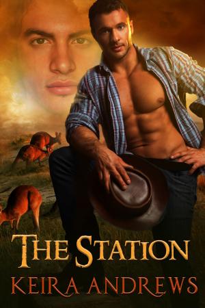 Cover of the book The Station by Keira Andrews, Leta Blake