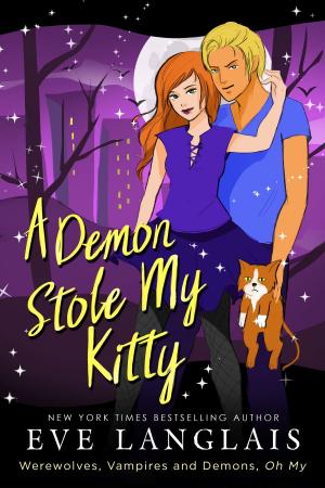 Book cover of A Demon Stole My Kitty