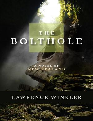 Book cover of The Bolthole a Novel of New Zealand