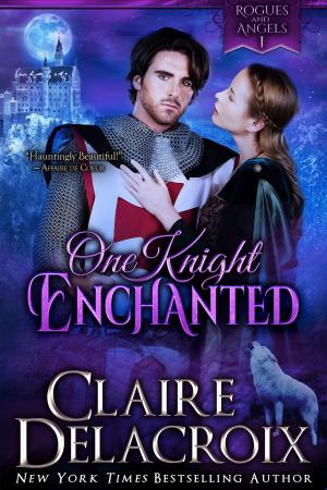 Cover of the book One Knight Enchanted by Travis Blase