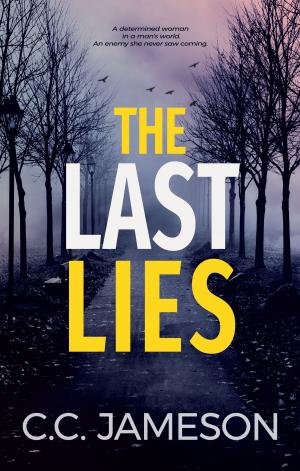Cover of the book The Last Lies by Kelly McClymer