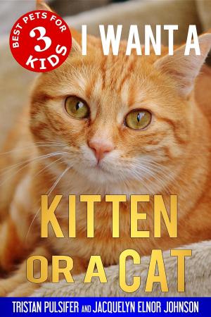 Cover of I Want a Kitten or a Cat