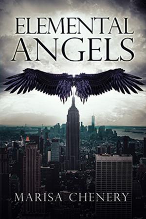 Cover of the book Elemental Angels by Marisa Chenery