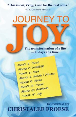 Cover of the book Journey to Joy by Allan Kehler