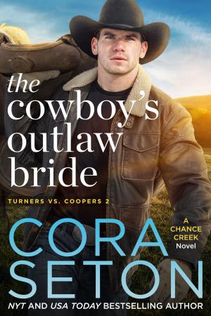Cover of the book The Cowboy's Outlaw Bride by Jen Andrews