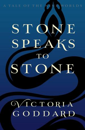 Cover of the book Stone Speaks to Stone by Dellani Oakes