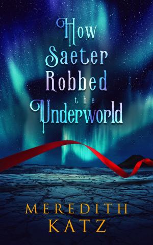 Cover of the book How Saeter Robbed the Underworld by Steve Sutton