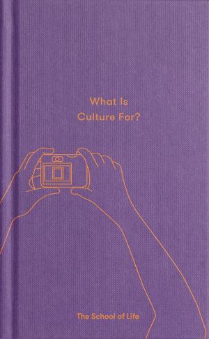 Book cover of What is Culture For?