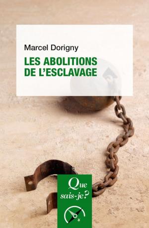 Cover of the book Les abolitions de l'esclavage by Jean-François Sirinelli