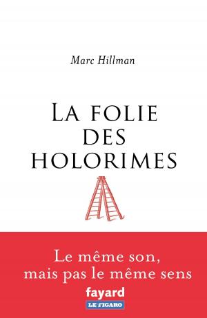 Cover of the book La folie des Holorimes by Madeleine Chapsal