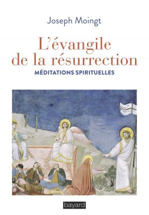 Cover of the book L'évangile de la résurrection by Catherine Chalier