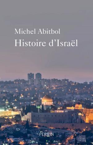 Book cover of Histoire d'Israël