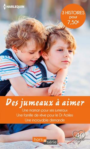 Cover of the book Des jumeaux à aimer by Lauren Nichols