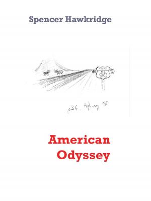 Cover of the book American Odyssey by Stefan Wahle