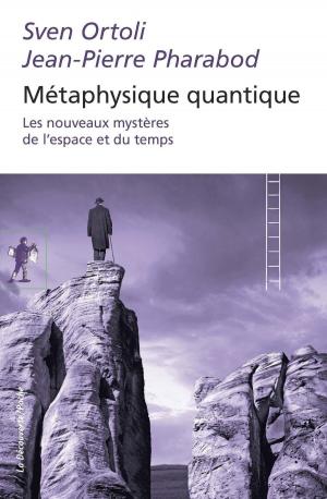 Cover of the book Métaphysique quantique by Élise THIÉBAUT, Élise THIÉBAUT