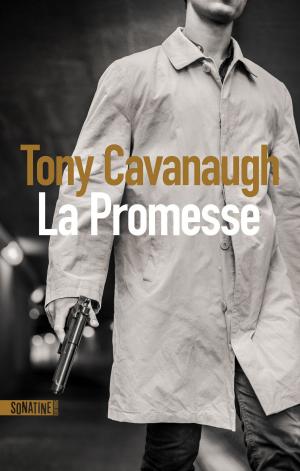 Cover of the book La Promesse by Paul CLEAVE