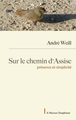 Cover of the book Sur le chemin d'Assise by Marlene F. Caldes