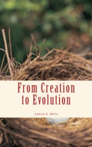 Cover of the book From Creation to Evolution by Charles Grant Allen, William Browning