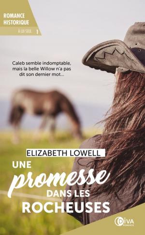 Book cover of Une promesse dans les Rocheuses