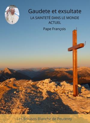 Cover of the book Gaudete et Exsultate by Dominique Le Tourneau