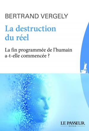 Cover of the book La destruction du réel by Gilles Vervisch