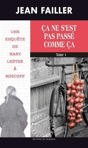 Cover of the book Ça ne s'est pas passé comme ça by Mary Anne Kelly