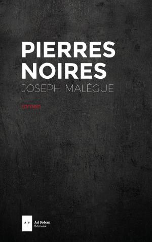 Cover of the book Pierres noires by Lucy Maud Montgomery