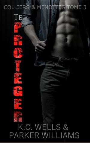 Cover of the book Te Protéger by Cambria Hebert