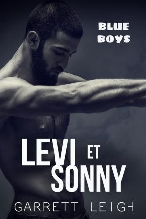 Cover of the book Levi et Sonny by Shawn O'Toole