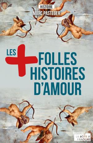 Cover of the book Les plus folles histoires d'amour by Daniel-Charles Luytens