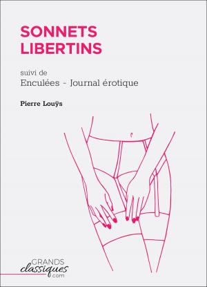 Cover of the book Sonnets libertins by Théophile Gautier